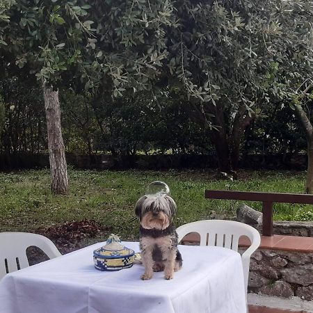 Villa la casa di Mario Itri Esterno foto