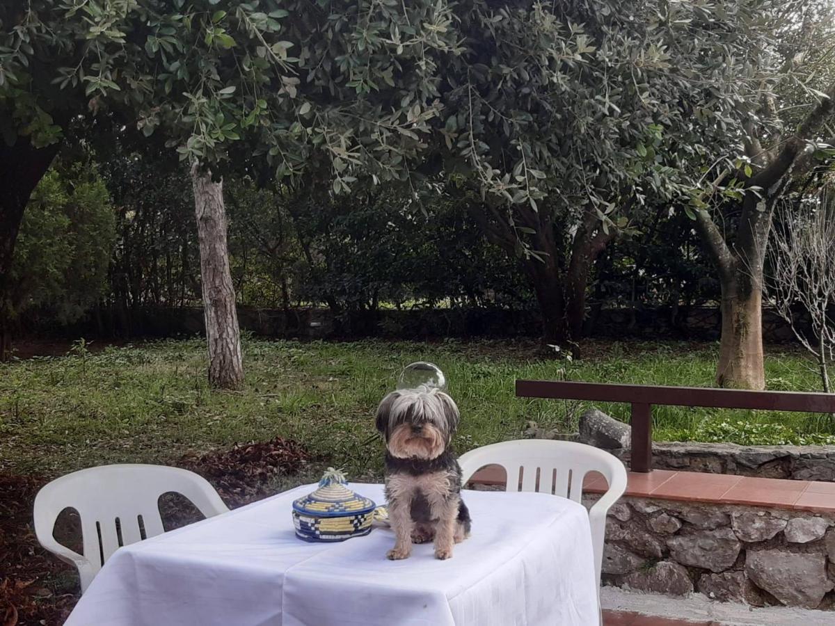Villa la casa di Mario Itri Esterno foto
